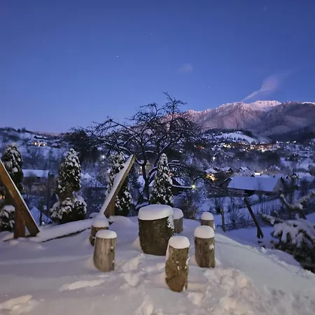 Casa Iulia Si Bogdan * Bran (Brasov)