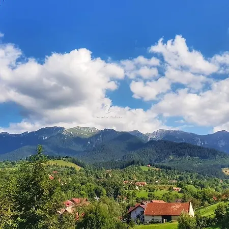Casa Iulia Si Bogdan *