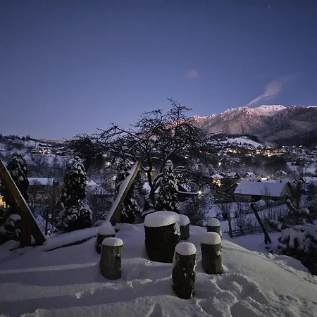 Casa Iulia Si Bogdan Villa Bran (Brasov)